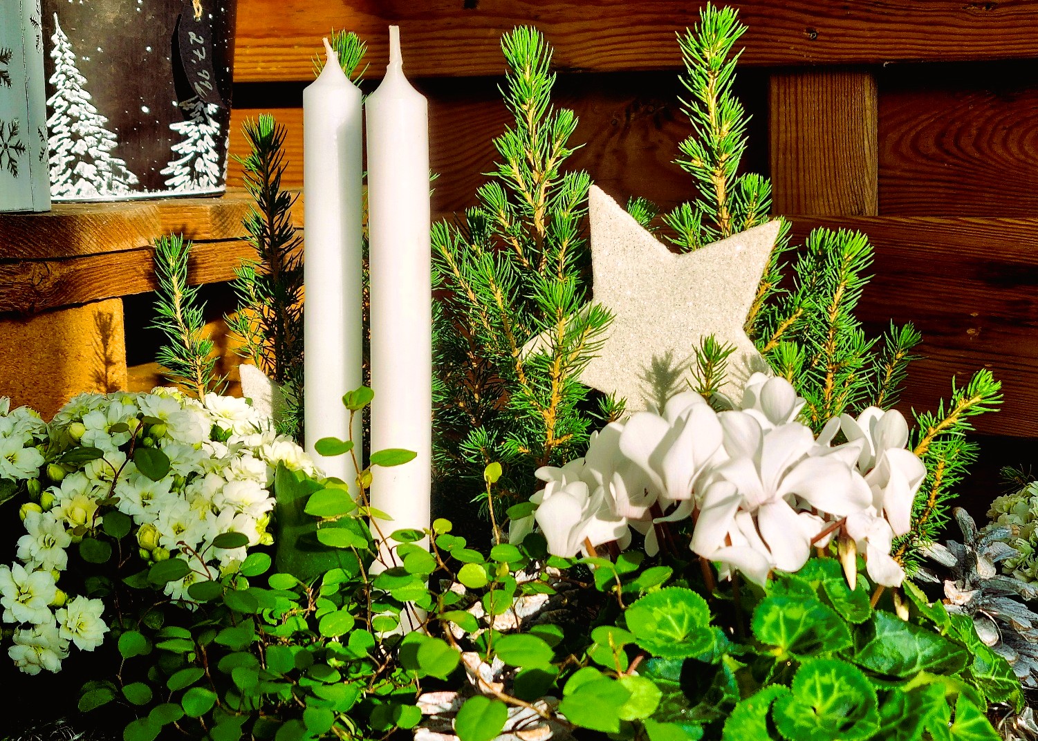 Monheimer Blumenmarkt